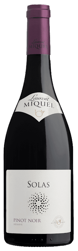 Laurent Miquel Solas Pinot Noir - Languedoc - France - Red